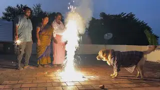 A Day in Little John&rsquo;s Diwali Celebration Vlog 🪔🎆 in village