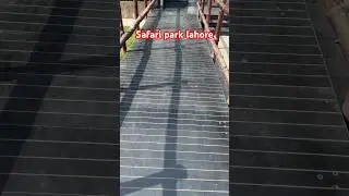 Best tickets system safari park lahore #sohailvlogs #safari #safaripark #lahore #pakistan #shorts