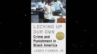 Plot summary, &ldquo;Locking Up Our Own&rdquo; by James Forman Jr. in 5 Minutes - Book Review