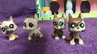 Lps Spn Eye Of The Tiger  - survivor