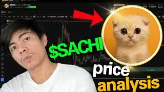 SACHI PRICE ANALYSIS - NEW PATTERNS SHOWS THIS.. .