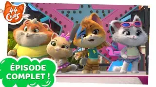 44 Chats | ÉPISODE COMPLET | La comédie miaou-sicale