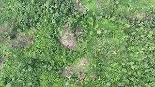 Flying over small-scale deforestation in Sumatra