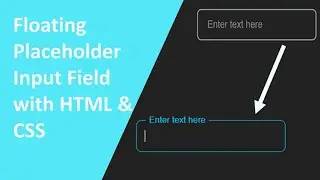 Floating Placeholder Input | Modern UI Design with HTML & CSS