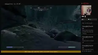 Skyrim: 