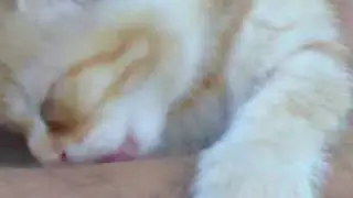 GARFIELD - Taking a bath before go to sleep