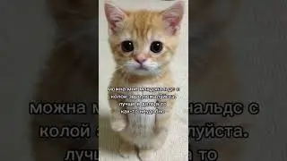 #мем #мемас #memes #шуточное #rge #мемы
