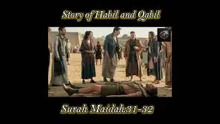 Qabil's BIGGEST🙏 Regret After Killing His Brother #shortvideo #shortsfeed #shorts #shortsviral