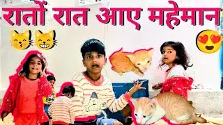 रातों रात आए महेमान 😽😸😱| Ghar मे Raat 🌃 को आए BABY CAT  😍🌠 Vanshu Happy😊