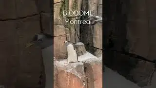 Biod&ocirc;me, Montr&eacute;al