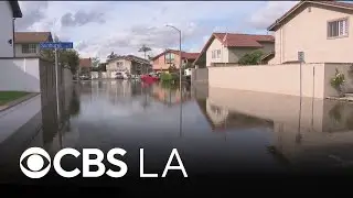 Huntington Beach duck pond overflows into neighborhood amid heavy rain