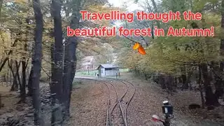 A Trip on the M&aacute;tra Railway - Szalajkah&aacute;z to Gy&ouml;ngy&ouml;s.