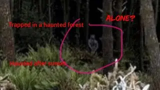 LONG NIGHT INSIDE FOREST(noises heard)#viral #scary #horror #haunted #ghost #spooky #forest#omg