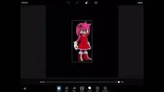 Making Custom Amy, Shadow and Silver Posters