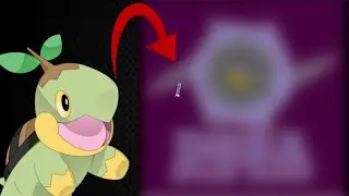 The Most Competitive Pokemon League Ever...