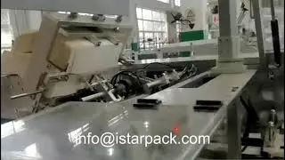Automatic Mask Cartoner Machine, Automatic Cartoning Machine For Mask