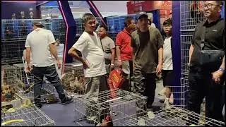 IGF game fowl expo 2025