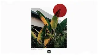 UnSpotted - Reminisce EP