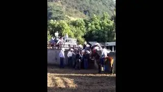 Cimarron Chico 2015