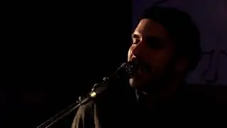 Gecofish - Grande | Spazio Live