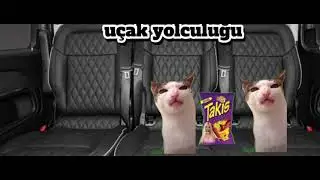 Kedi memes videoları pt1#devamı i&ccedil;in abone ol
