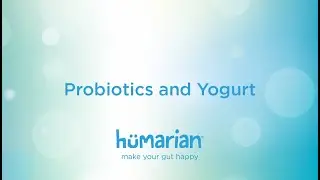 Probiotics and Yogurt