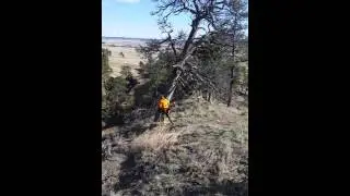 S 212 wild land chainsaws