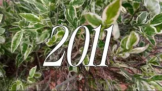 TAG |2011| ft Sofia (official visualizer)