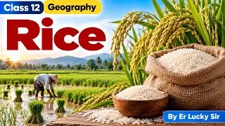 Rice  - Food grains Class 12 Geography | Land Resources and Agriculture