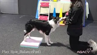 03 6 Play Bow BalancePad1