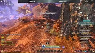 Elyon Mystic. Intrebati in chat, Live are 