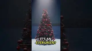 Esoteric Christmas!