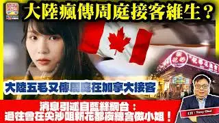 12.9【大陸瘋傳周庭接客維生？】大陸五毛又傳周庭在加拿大接客，消息引述自藍絲網台：過往曾在尖沙咀新花都夜總會做小姐！@主持：Tony Choi