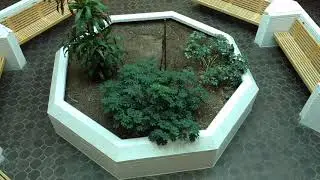Shoppingtown Mall - DeWitt, NY - A Deadmalls.com Presentation
