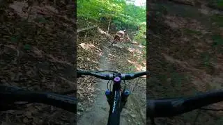 Dope steep flow #mtb #shortvideo #mountainbike #mtblife #donvalleymtb #shortsfeed #mtbflow
