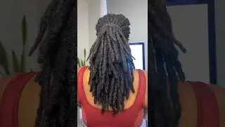 BEST Ponytail on locs!! QUICK & EASY locstyle for shoulder length hair #locs #ponytail #hairstyle