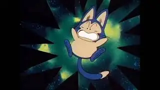 Puar The Hedgehog