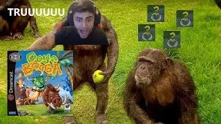 pov footage of smart moe