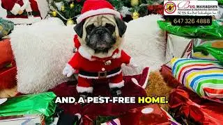 Bug Managers Pest Control & Wildlife Removal, wishing you a Merry Christmas and a Happy New Year!