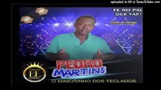 PEDRO MARTINS O MINEIRINHO DOS TECLADOS 2020