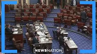 Senate approves bill to force release of Epstein files | NewsNation Live
