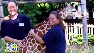 WttW A Story of Hope     #TopZooKTWU