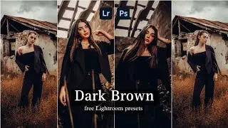 Dark Brown Lightroom Preset|Lightroom Moody Dark Presets| |lightroom presets
