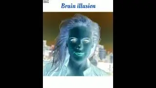 Optical illusion picture tamil / Negative turns into colour / #shorts