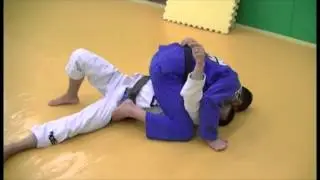 Caio Terra - Butterfly Guard Passing Series