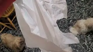 Мусорный мешок с завязкой-клапаном
