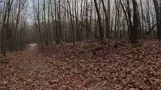 Wandering at Pickerel Lake Park, Cloudy Fall Hike | Full Hike POV | Hiking, Nature ASMR | Kent, MI