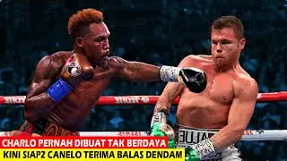 Jermall Charlo vs Canelo Alvarez Pembalasan Keji Charlo |Tinju Dunia Hari Ini |Tinju Hari Ini
