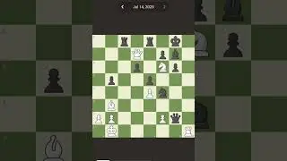 #endgamer #chess #chessgames #chessendgames #chessproblems #endgamechess #chessgames