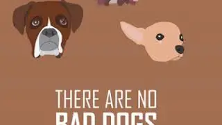 Dog Stereotypes Animation